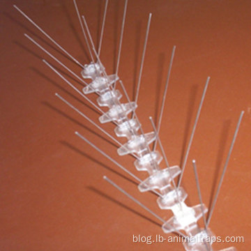 Stainless Steel Anti Bird Spikes Pigeon Repellent Strips